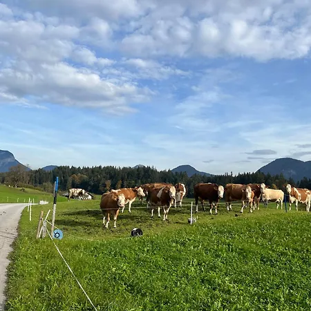 Wimmerhof - Bergsonne