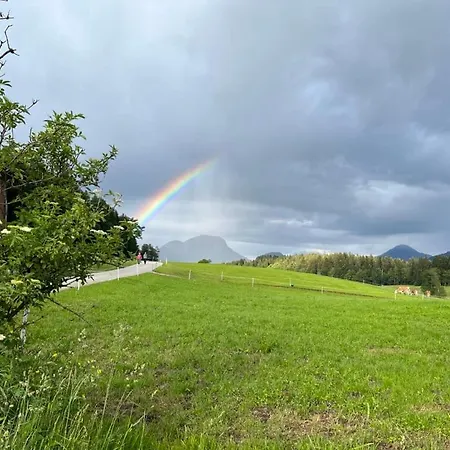 Wimmerhof - Bergsonne *