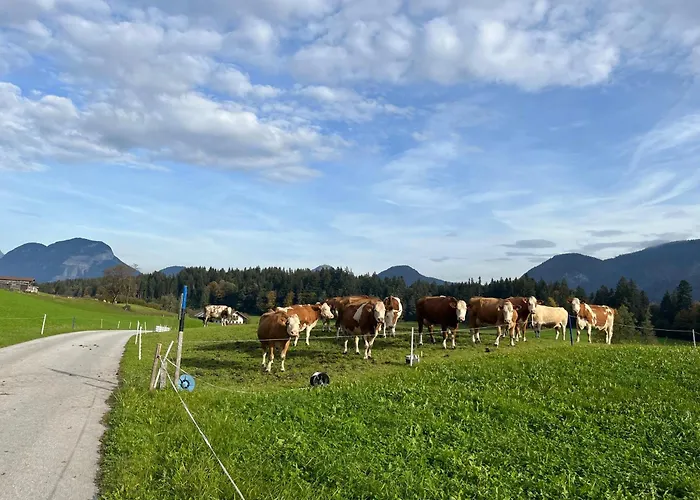 Wimmerhof - Bergsonne